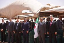 Niger, Algeria Launch 100 Gb/s Fiber Optic Link