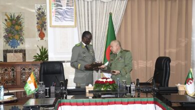 General Chengriha Hosts Niger Minister, Seals Pact
