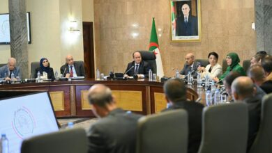 Prime Minister Ghrieb Reviews Basic Product Price Monitoring
