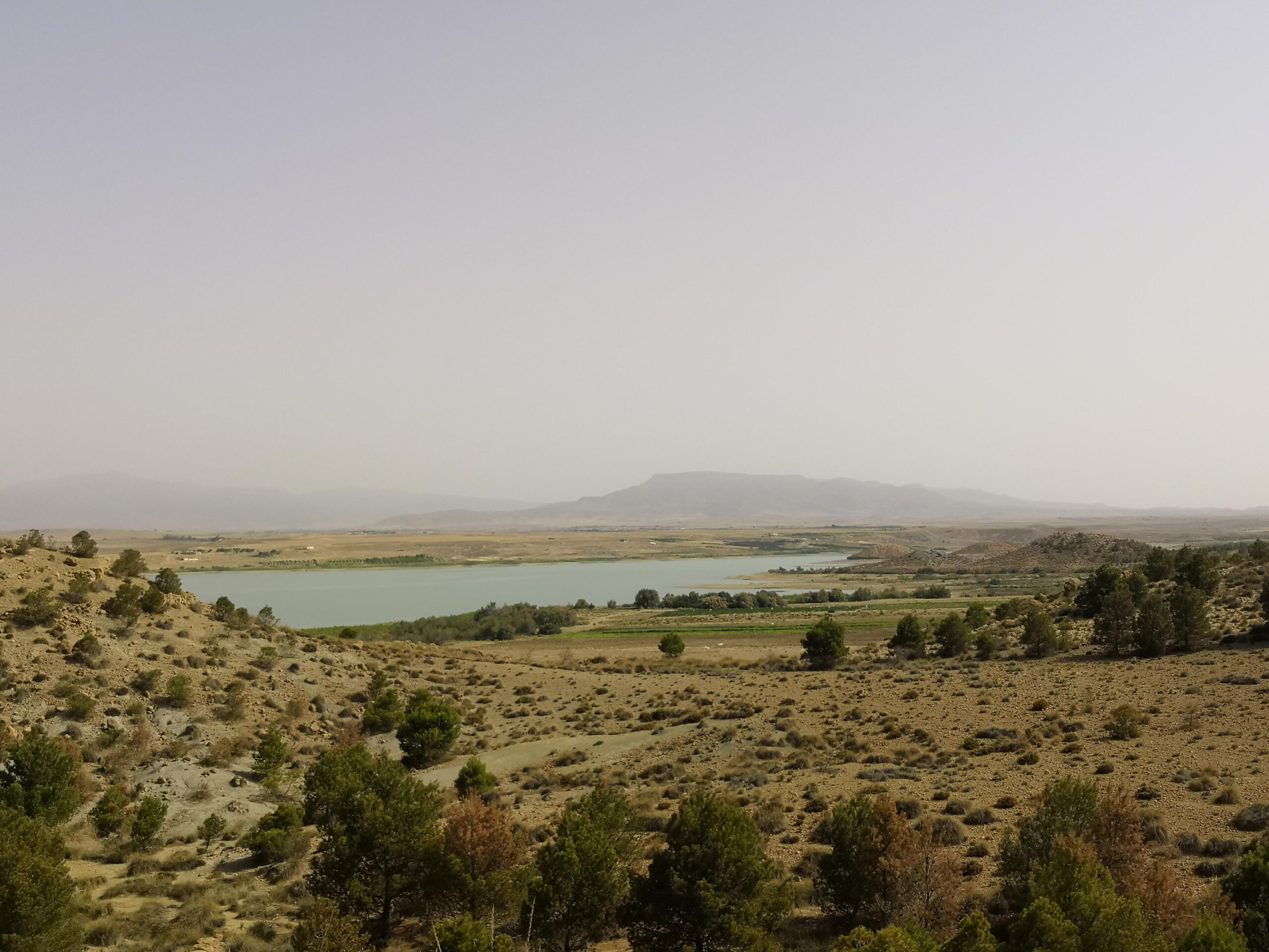 Green Climate Fund Approves Projects Supporting Algeria