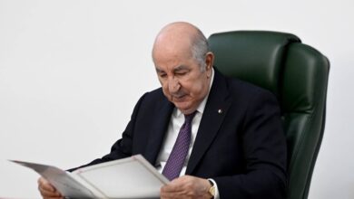 President Tebboune Names Lounas Magramane Presidency Cabinet Director