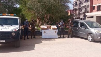 Joint Operation in Bechar Intercepts 219,000 Psychotropic Tablets