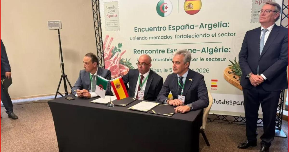 Spanish-Algerian Pacts Improve Red Meat Sector Logistics