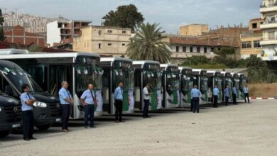 Bejaia's Public Transport Network Gains 20 New Buses