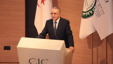 ANIE Approves Vast Majority of Local Election Lists