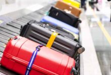 Security Foils Gold, Euro Smuggling at Oran Airport