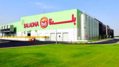 Baladna Farm Adrar Expects 35,000 US Cattle November 25