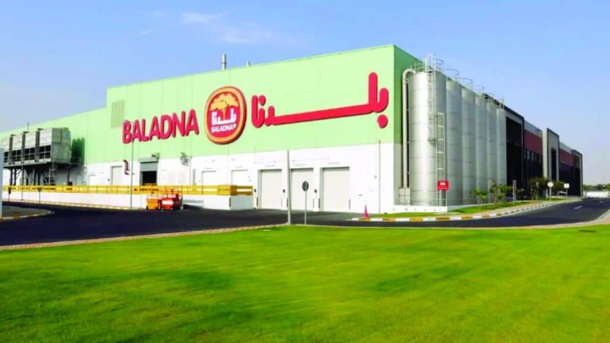 Baladna Farm Adrar Expects 35,000 US Cattle November 25