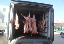 Tebboune Mandates Probe into Meat Prices, Brokerage Control